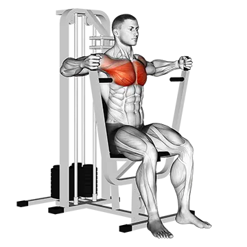 Lever Parallel Chest Press