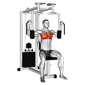 Best Machine Chest Workouts Lever Pec Deck Fly