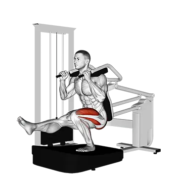 Lever Pistol Squat