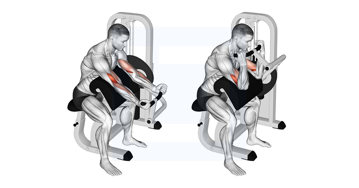 Preacher Bicep Curls
