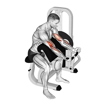 Best Machine Bicep Workouts Lever Preacher Curl