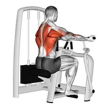 Lever Reverse Grip Vertical Row