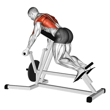 Best Machine Back Workouts Lever Reverse T Bar Row