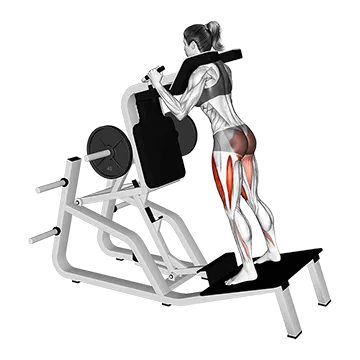 Lever Reverse Vertical Hack Squat