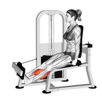 Best Machine Calf Workouts Lever Rotary Calf