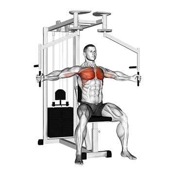 Best Machine Chest Workouts Lever Seated Fly