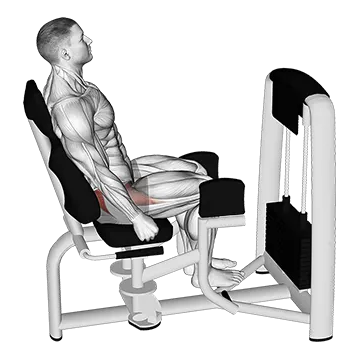 Best Glute Medius Exercises Lever Seated Hip Abduction