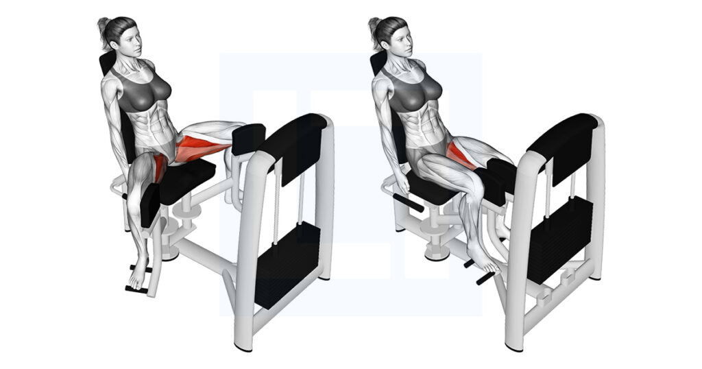 Hip Abduction Machine Exercises WAUBV Hip Abduction Machine Exercises WAUBV