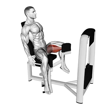Best Inner Thigh Exercises Lever Seated Hip Adduction