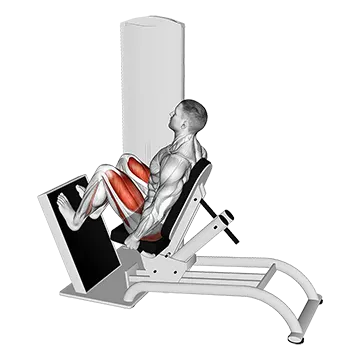 Lever Seated Horizontal Leg Press