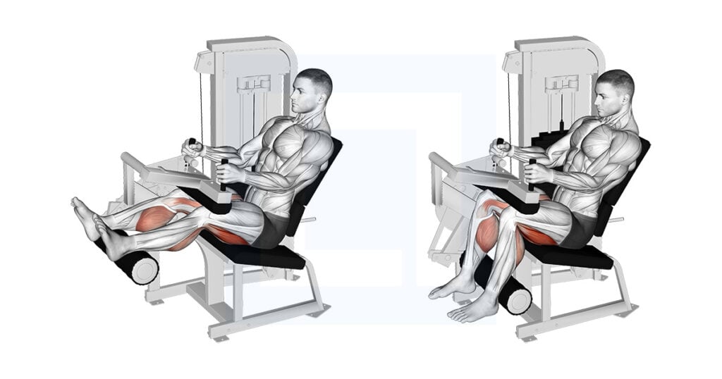 Couch stretch guide benefits and form