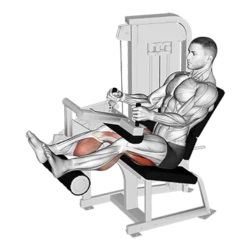 How To Grow Your Hamstrings Lever Seated Leg Curl