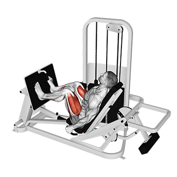 Best Vastus Lateralis Exercises Lever Seated Leg Press