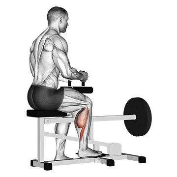 How To Build Bigger Calves Lever Seated One Leg Calf Raise