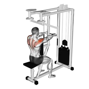 Best Machine Shoulder Workouts Lever Seated Reverse Fly