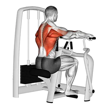 Best Machine Back Workouts Lever Seated Row