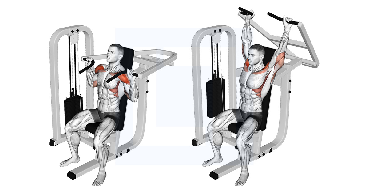 Shoulder Press