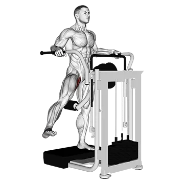 Lever Side Hip Adduction