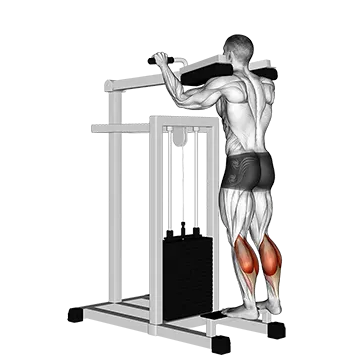 Lever Standing Calf Raise
