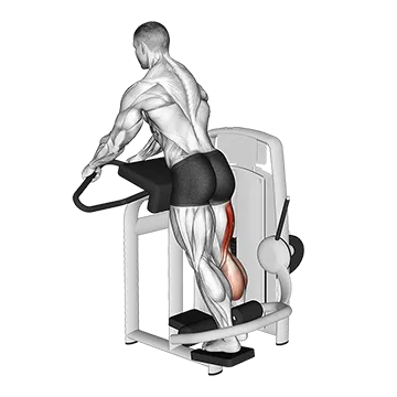 How To Grow Your Hamstrings Lever Standing Leg Curl