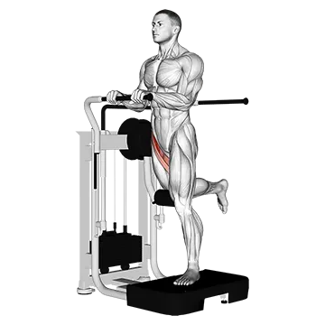 Lever Standing Leg Raise