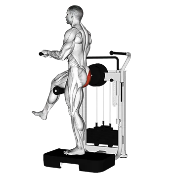 Lever Standing Rear Kick