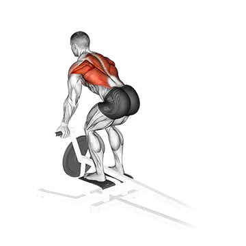 Lever T Bar Reverse Grip Row