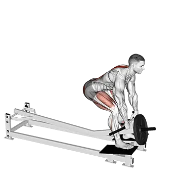 Lever T Bar Romanian Deadlift