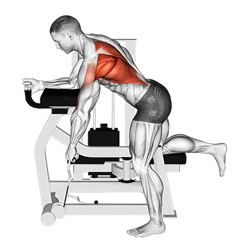 Best Machine Back Workouts Lever Unilateral Row