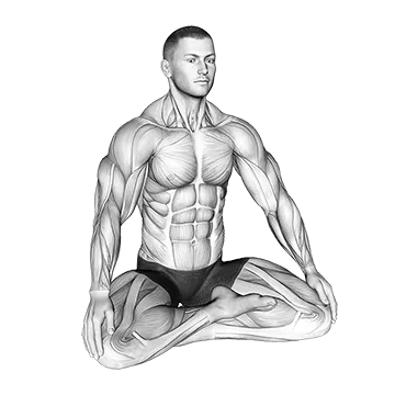 Lotus Pose Breathing