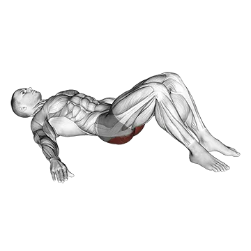 Low Glute Bridge on Floor