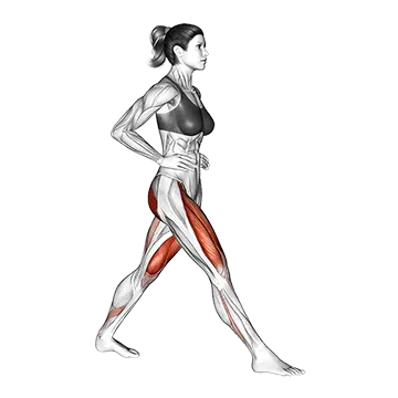 Best Calisthenics Workout Plan Lunge