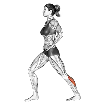 How To Fix Tight Calves Lunging Straight Leg Calf Stretch