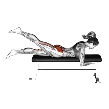 Lying Alternate Hip Extension