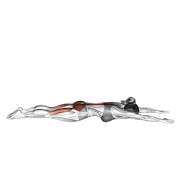 Lying Back Extension With Press