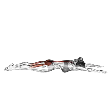 Best Calisthenics Back Workouts Lying Back Extension