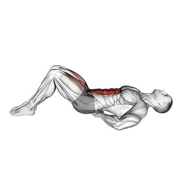 Lying Bent Legs Raise