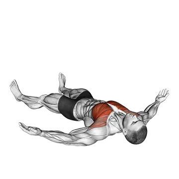 Lying Floor Fly