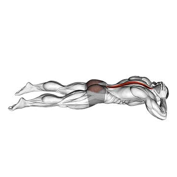Best Bodyweight Lower Back Workouts Lying Floor Hyperextension