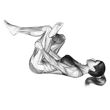 Best At Home Glute Workouts Lying Glute Stretch
