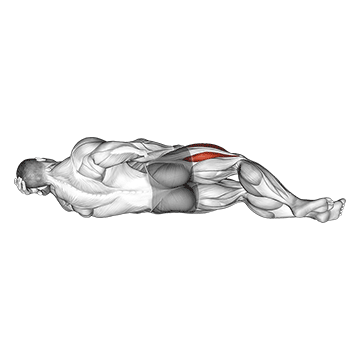 Best Hip Mobility Stretches Lying Hip Flexor