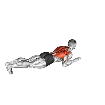 How To Do A Pull Up Lying Lat Pulldown
