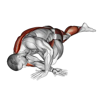 Lying Leg Tuck Hip Back Stretch