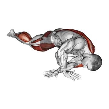 Best Lower Back Stretches Lying Leg Tuck Hip Back To Right Stretch