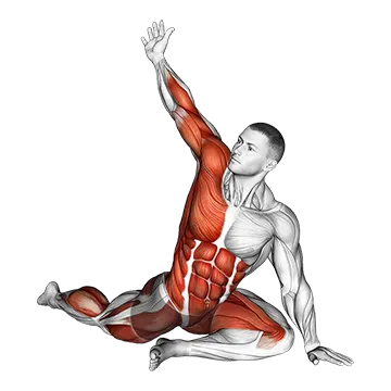 Lying Leg Tuck Hip Twist Stretch