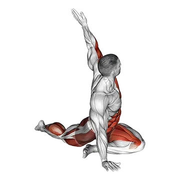 Lying Leg Tuck Hip Twist to Left Stretch