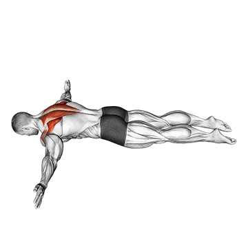 Lying Prone T