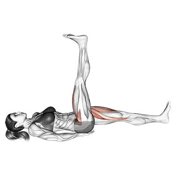Lying Simultaneous Alternating Straight Leg Raise