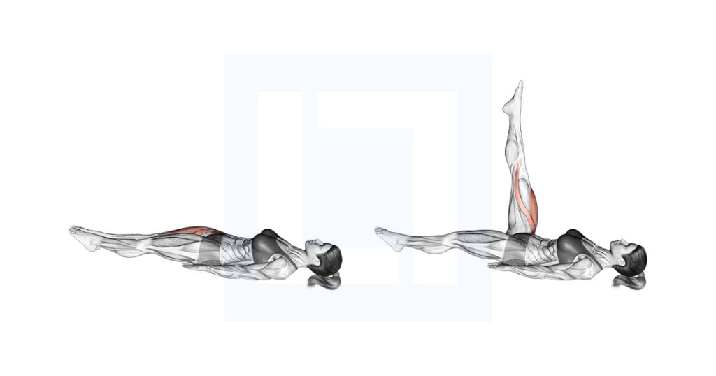 Lying Single Leg Raise
