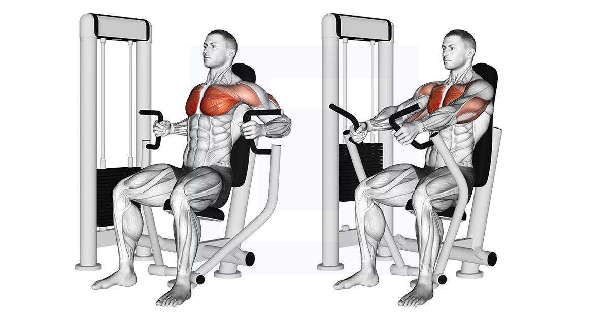 Chest Press